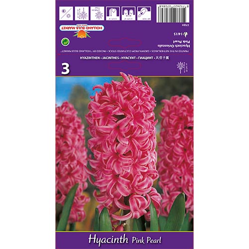 Jacinto Pink Pearl interface.art photo 1 Jacinto Pink Pearl interface.image 1 interface.art 67365