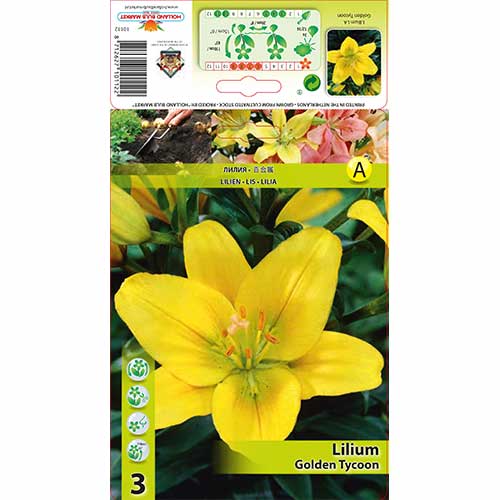 Lilium Golden Tycoon interface.image 1 interface.art 70468