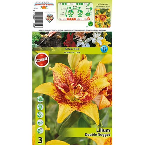 Lirio Double Nugget interface.art photo 1 Lirio Double Nugget interface.image 1 interface.art 77820