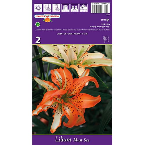 Lirio Must See interface.art photo 1 Lirio Must See interface.image 1 interface.art 77838