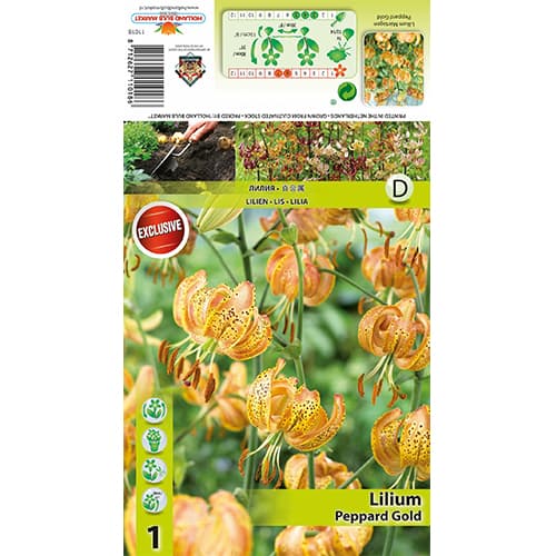 Lirio Peppart Gold interface.art photo 1 Lirio Peppart Gold interface.image 1 interface.art 77823