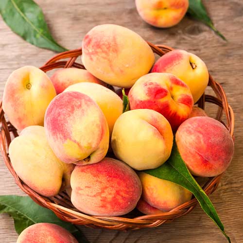 Melocotón Lolita, C2 interface.art photo 1 Melocotón Lolita, C2 interface.image 1 interface.art 9677