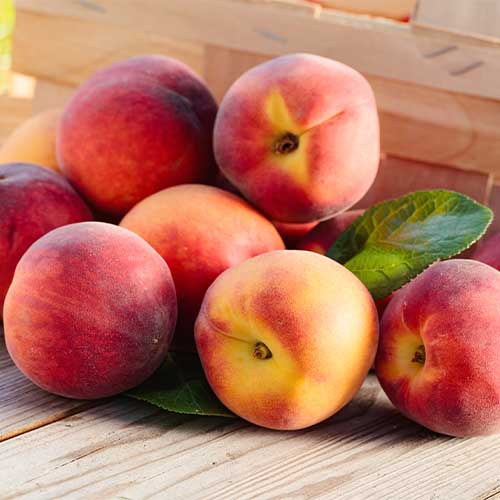 Melocotón Romeo, C2 interface.art photo 1 Melocotón Romeo, C2 interface.image 1 interface.art 9678