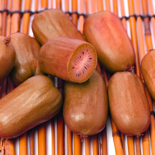 Mini kiwi (Actinidia) Ken's Red, P9 interface.art photo 1 Mini kiwi (Actinidia) Ken's Red, P9 interface.image 1 interface.art 9240