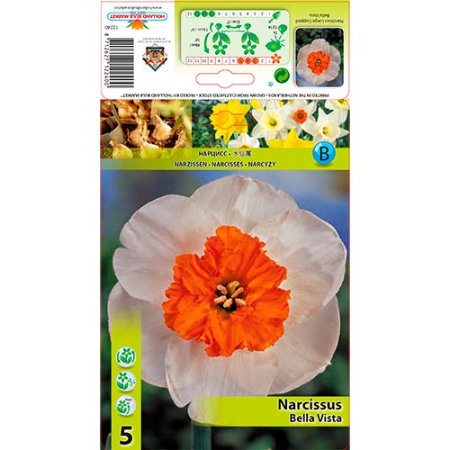 Narciso Bella Vista interface.image 1 interface.art 67640