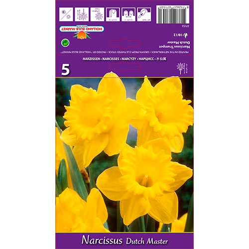 Narcisse Dutch Master interface.image 1 interface.art 67647