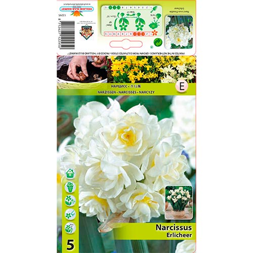 Narciso Erlicheer interface.image 1 interface.art 70285