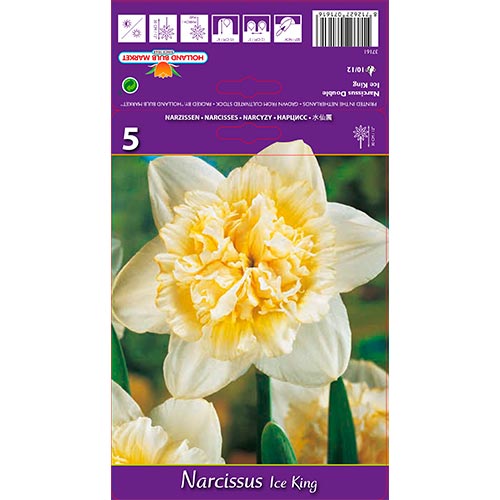 Narciso Ice King interface.image 1 interface.art 67415