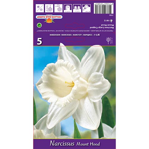 Narciso Mount Hood interface.image 1 interface.art 70214