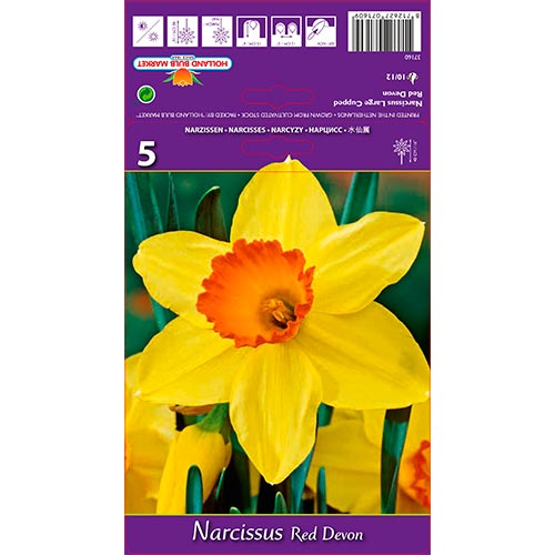 Narciso Red Devon interface.image 1 interface.art 67659