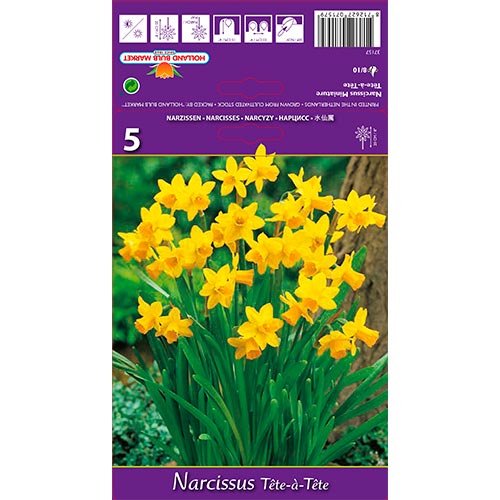 Narciso Tete-a-Tete interface.art photo 1 Narciso Tete-a-Tete interface.image 1 interface.art 67664