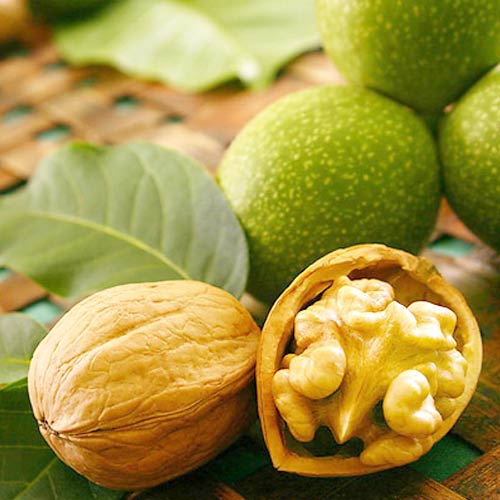 Nogal Chandler, С2 interface.art photo 1 Nogal Chandler, С2 interface.image 1 interface.art 7041