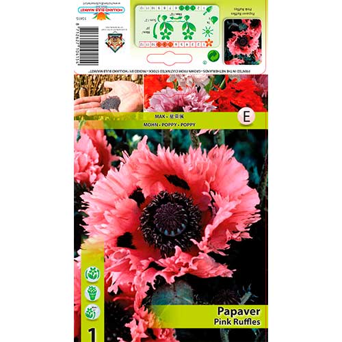 Papaver Pink Ruffles interface.art photo 1 Papaver Pink Ruffles interface.image 1 interface.art 76342