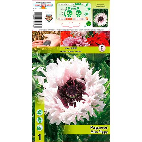 Papaver Ruffles Miss Piggy Ruffles interface.image 1 interface.art 76343