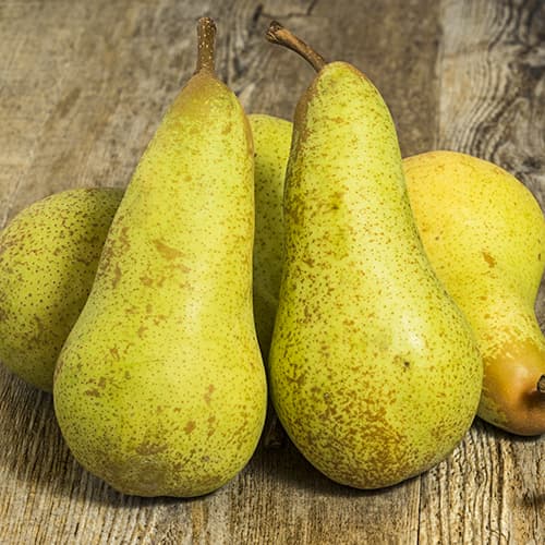 Peral Abate Fetel, C2 interface.art photo 1 Peral Abate Fetel, C2 interface.image 1 interface.art 9684