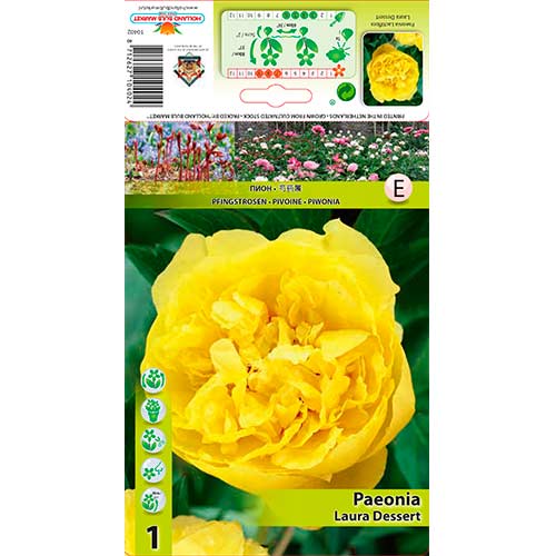 Peonía Laura Dessert interface.image 1 interface.art 76614