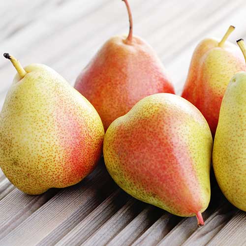 Pera Santa Maria, С2 interface.art photo 1 Pera Santa Maria, С2 interface.image 1 interface.art 4305