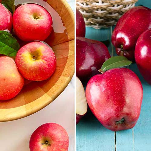 Manzano, 2 plantas interface.art photo 1 Manzano, 2 plantas interface.image 1 interface.art 5872