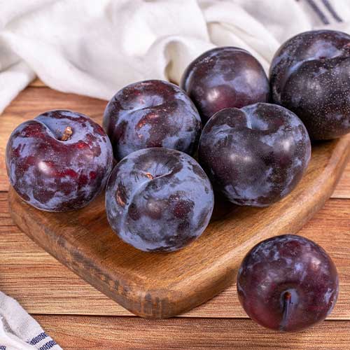 Ciruelo Estrella Negra, С2 interface.art photo 1 Ciruelo Estrella Negra, С2 interface.image 1 interface.art 5673