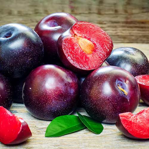 Ciruela Sonic Lady, С2 interface.art photo 1 Ciruela Sonic Lady, С2 interface.image 1 interface.art 4313