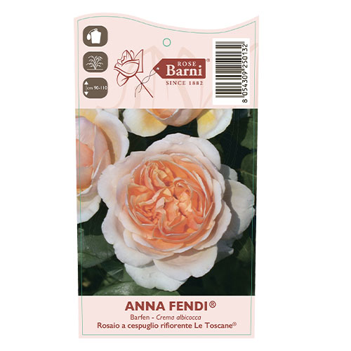 Rosa de flor grande Anna Fendi®, C5 interface.image 4 interface.art 5548