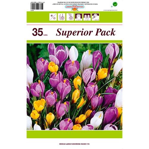 ¡Gran oferta! Crocus botánico colores mixtos, lote de 35 bulbos interface.image 1 interface.art 67911
