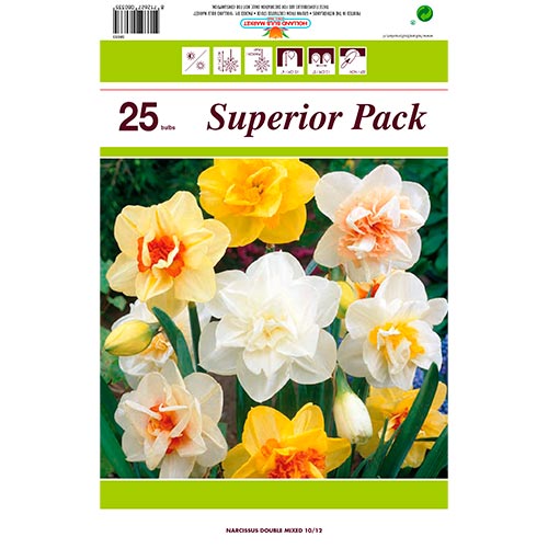 Gran oferta Narcissus Colour Mix, lote de 25 bulbos interface.image 1 interface.art 70317