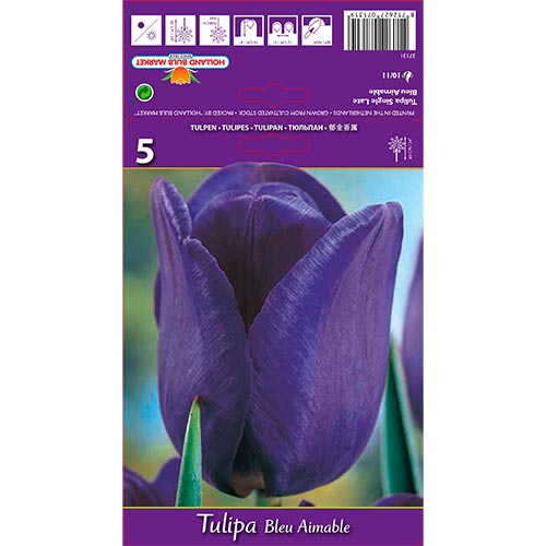 Tulipe Azul Amaible interface.image 1 interface.art 67705