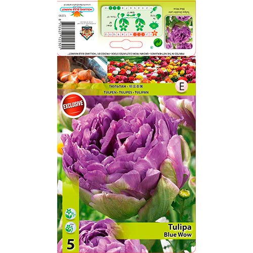 Tulipe Azul Wow interface.image 1 interface.art 67701