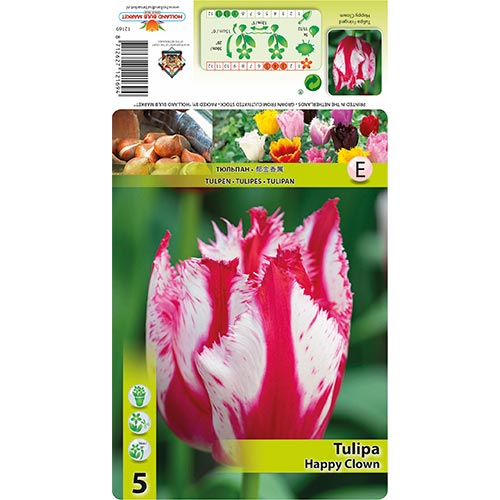 Tulipe Happy Clown interface.image 1 interface.art 68398