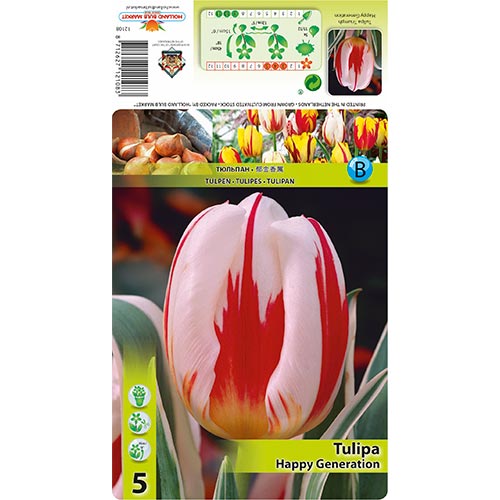 Tulipe Happy Generation interface.art photo 1 Tulipe Happy Generation interface.image 1 interface.art 68049