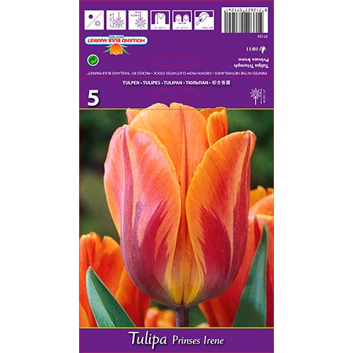 Tulipe Princes Irene interface.image 1 interface.art 67806
