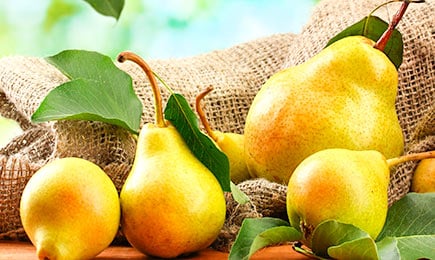 Delicias crujientes | GradinaMax