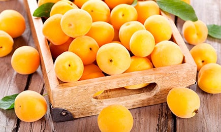 Dulce, jugosa, productiva | GradinaMax