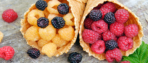 Dulces bayas | GradinaMax