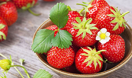 Dulzura jugosa | GradinaMax