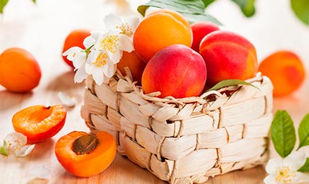 Fruit Shopping | GradinaMax