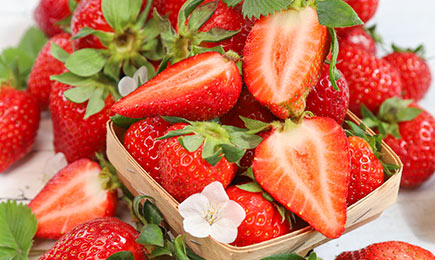 Delicia de miel | GradinaMax