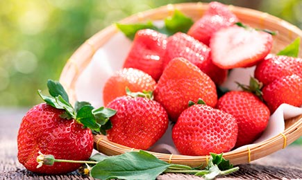 Dulzura jugosa | GradinaMax