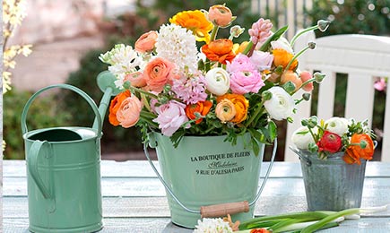 NEW SEASON 2025 | GradinaMax