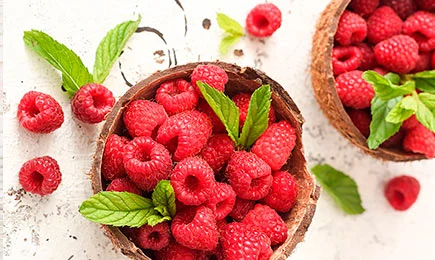 Postre vitamínico | GradinaMax