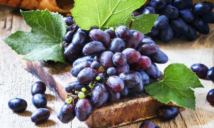 Sabor intenso | GradinaMax