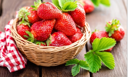 Uncommon Dessert | GradinaMax